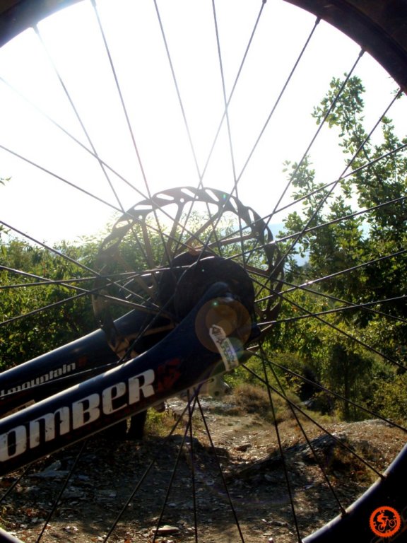 dsc02094.jpg