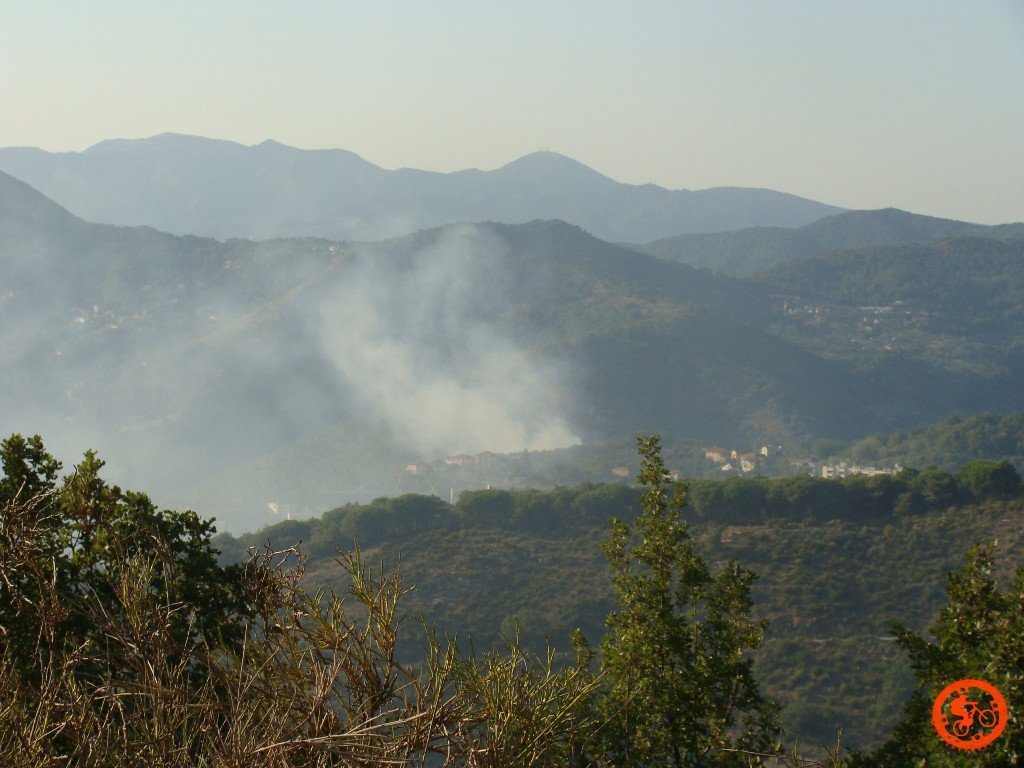 dsc02101.jpg