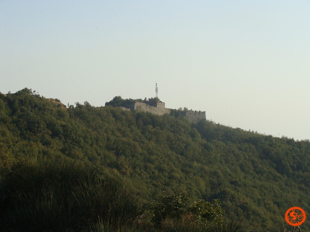 dsc02105.jpg
