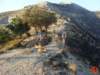 dsc02108_small.jpg
