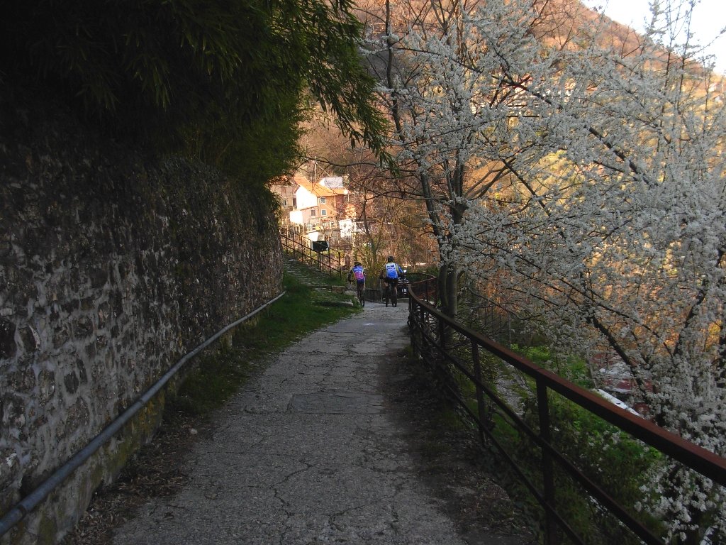 dscn1701.jpg