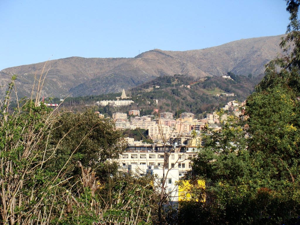 dsc00769.jpg