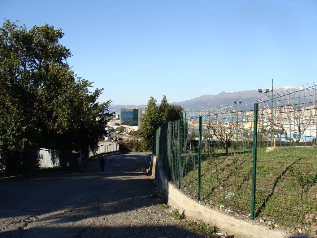 dsc00772.jpg