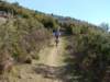 dsc00811_small.jpg