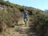 dsc00812_small.jpg