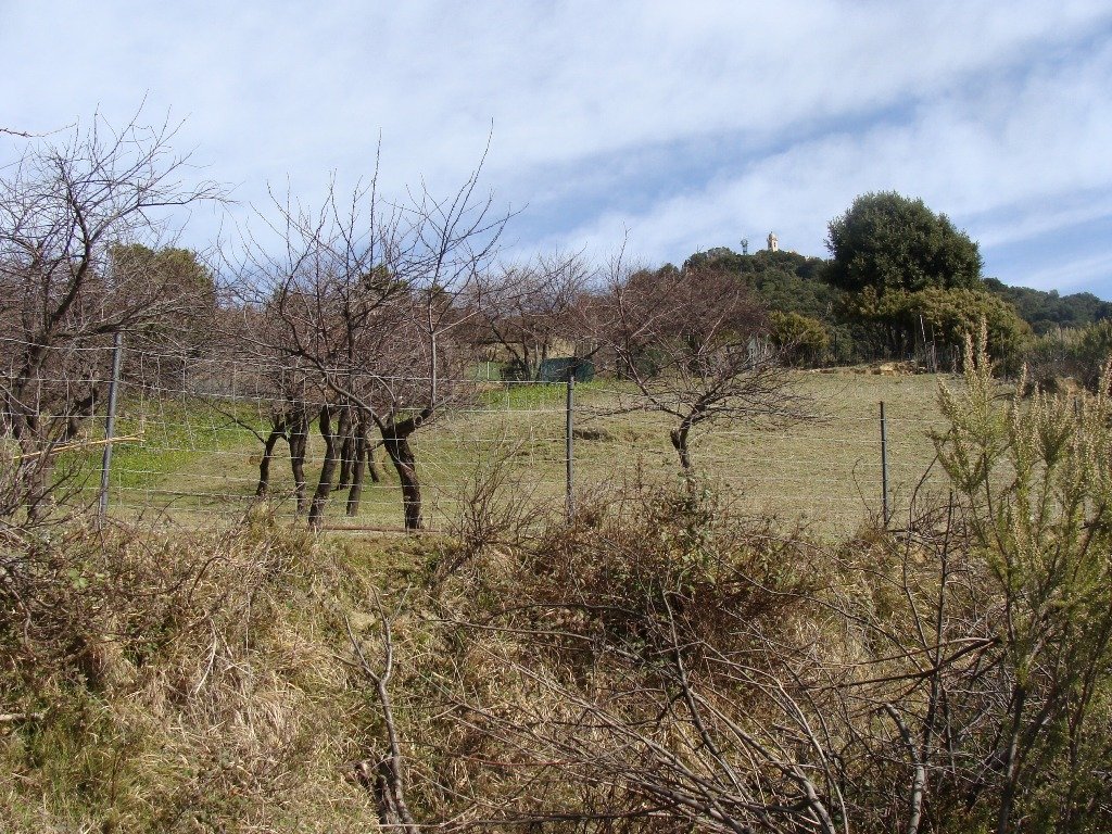 dsc00814.jpg