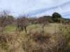 dsc00814_small.jpg