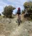 dsc00821_small.jpg