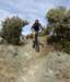 dsc00822_small.jpg