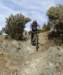 dsc00824_small.jpg