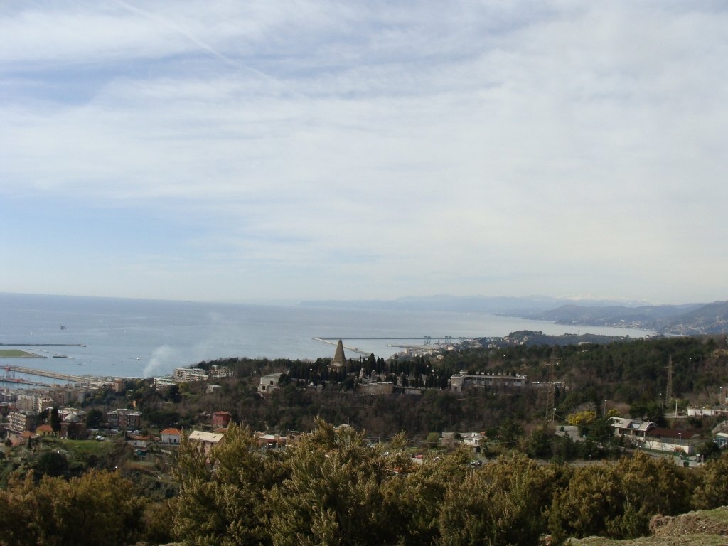 dsc00830.jpg
