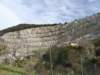 dsc00831_small.jpg