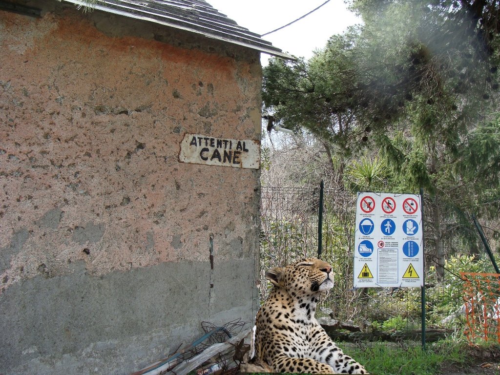 dsc00833.jpg