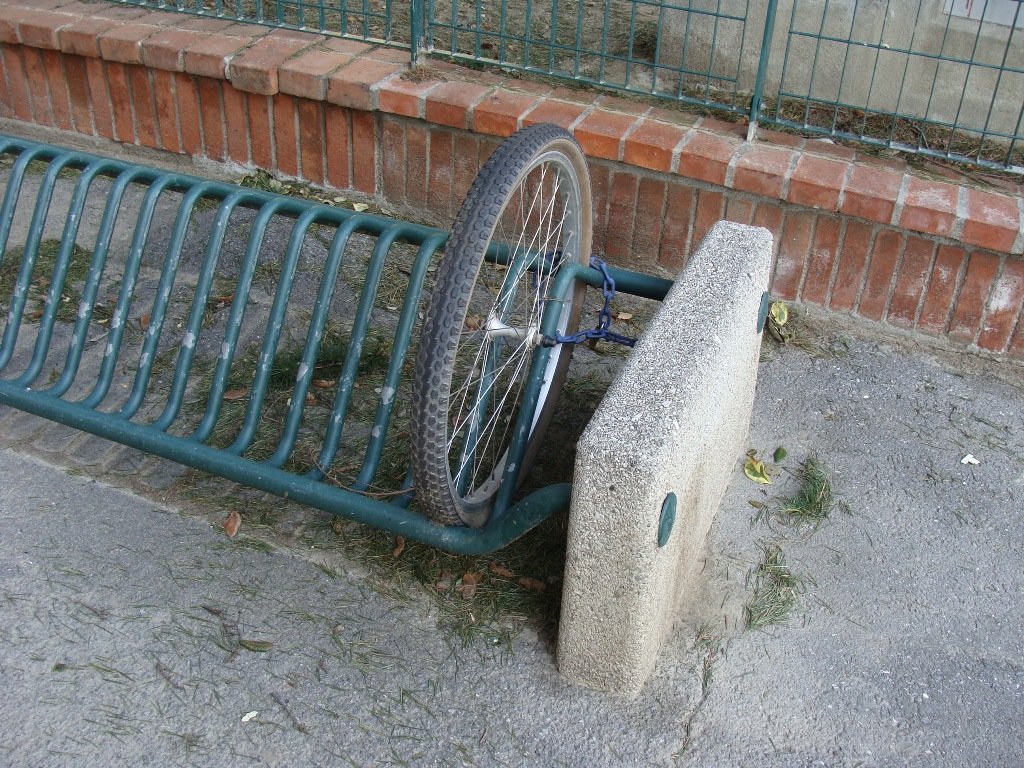 dsc00363.jpg