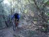 dsc00415_small.jpg