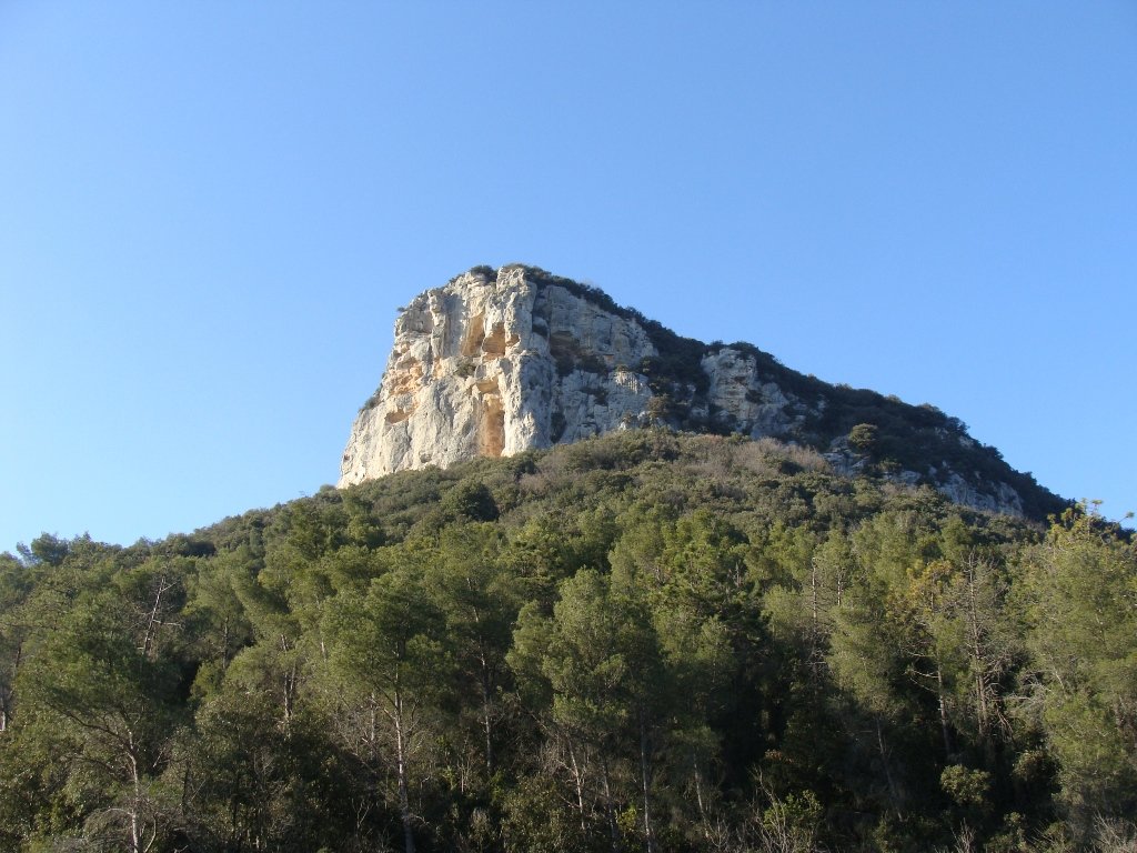 dsc00427.jpg