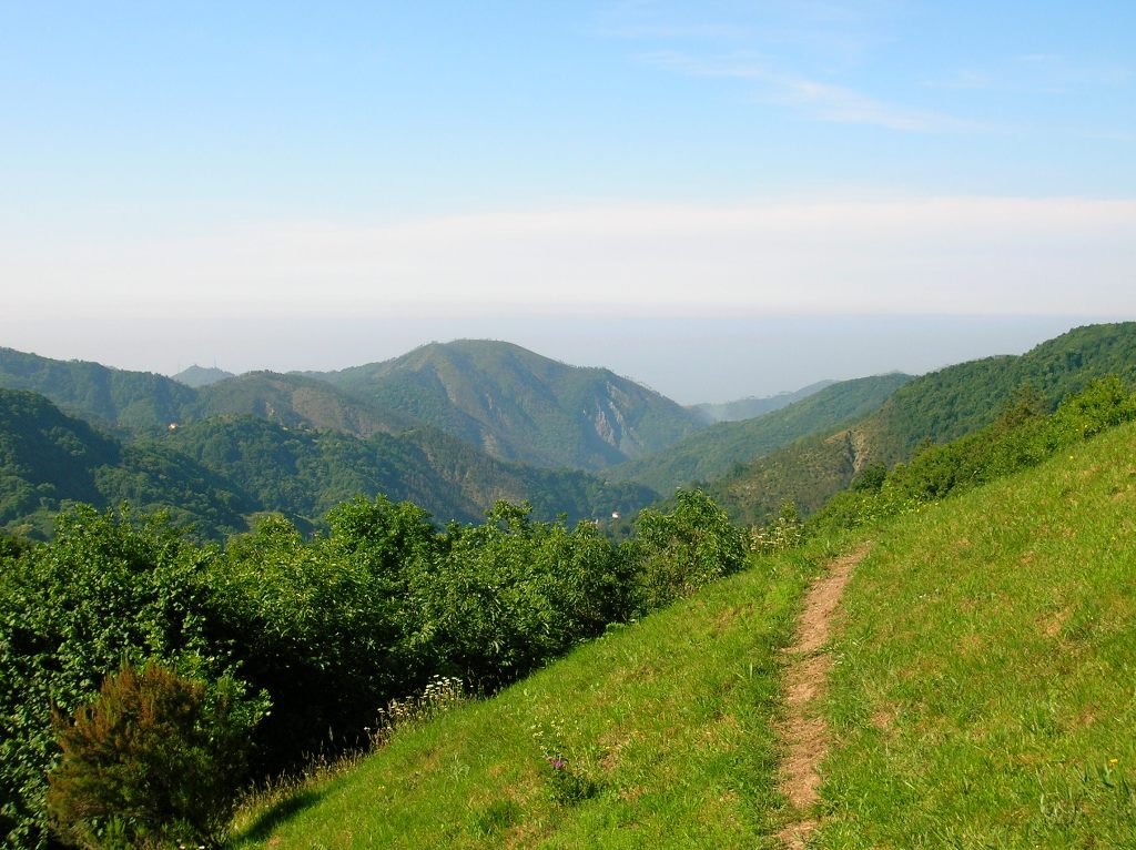 dscn4918.jpg