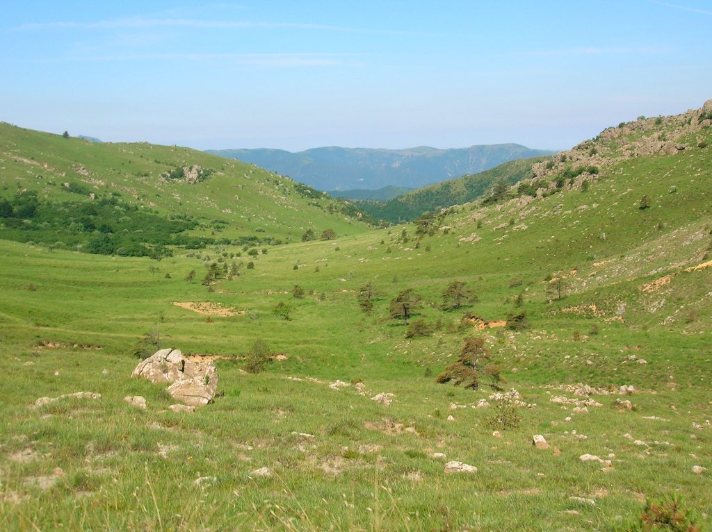 dscn4936.jpg