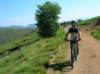 dscn4938_small.jpg