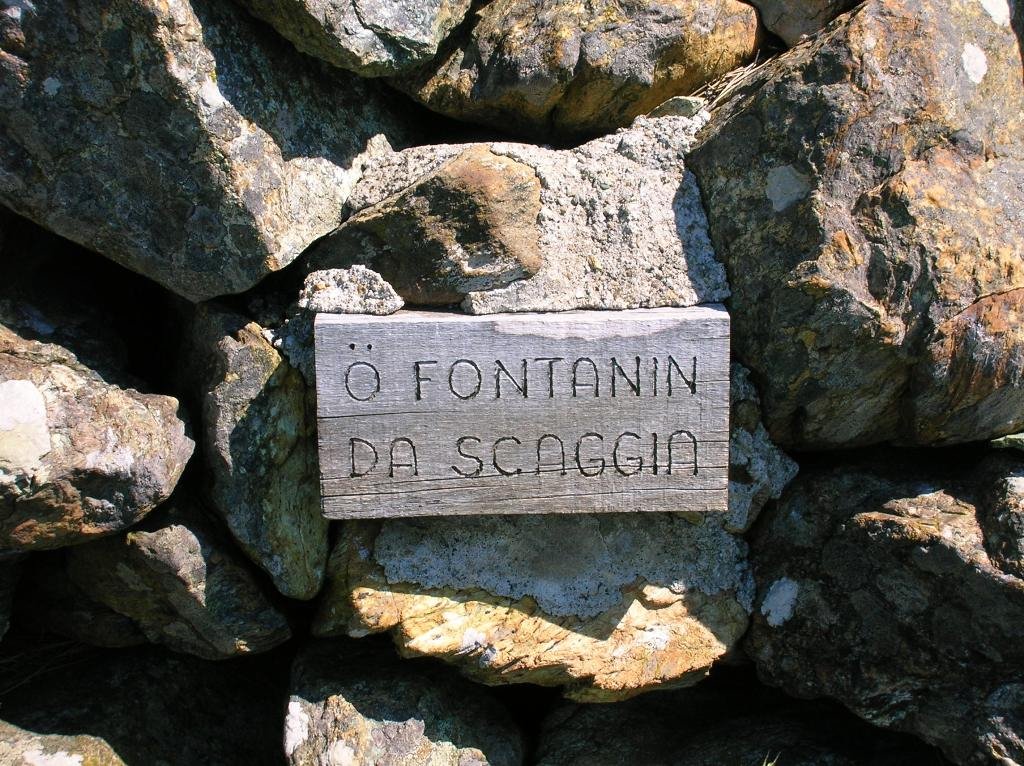 dscn4958.jpg