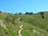 dscn4959_small.jpg