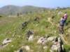 dscn4960_small.jpg