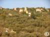 dscn0085_small.jpg