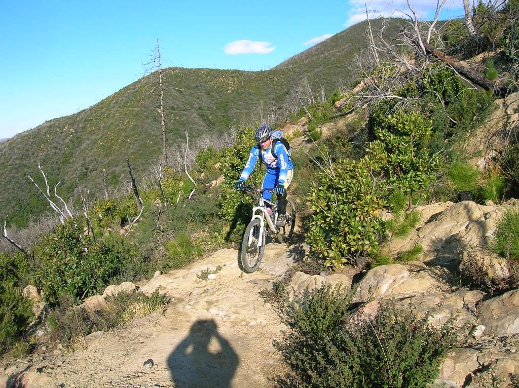 photo15.jpg