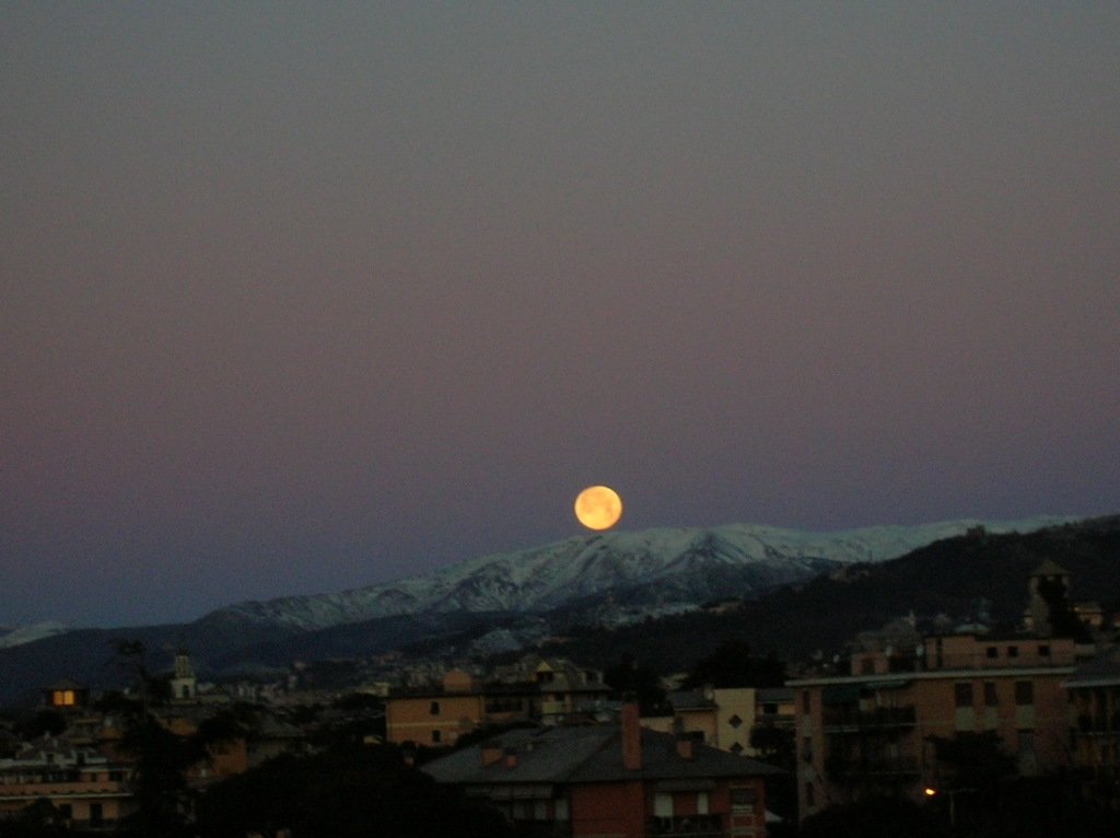 photo3.jpg