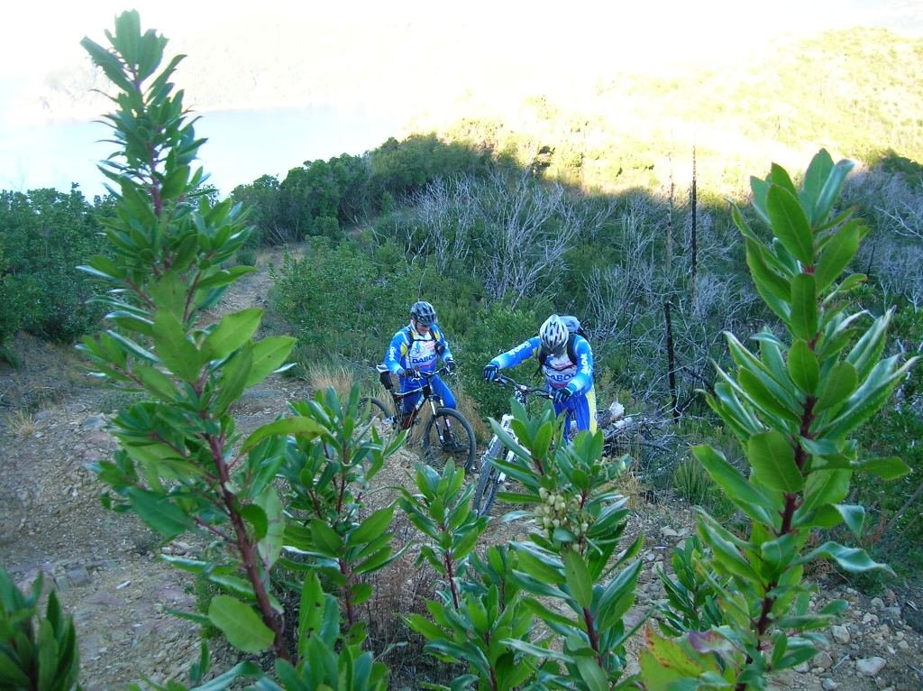 photo8.jpg