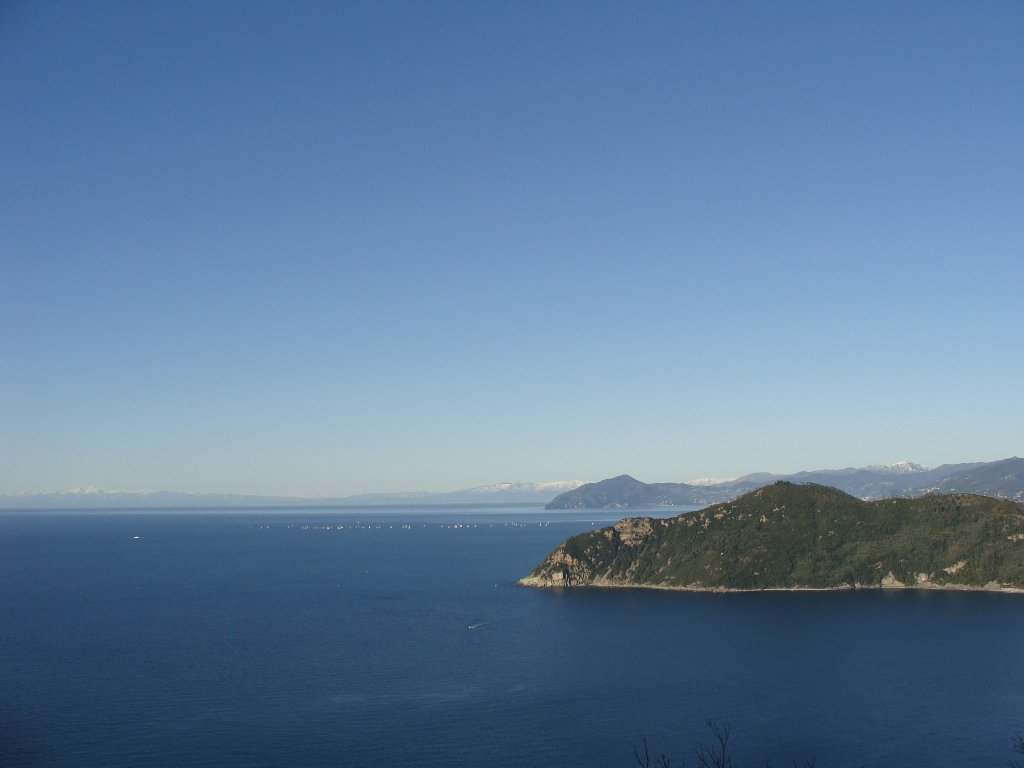 photo36.jpg