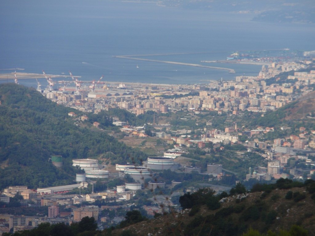 p8300041.jpg
