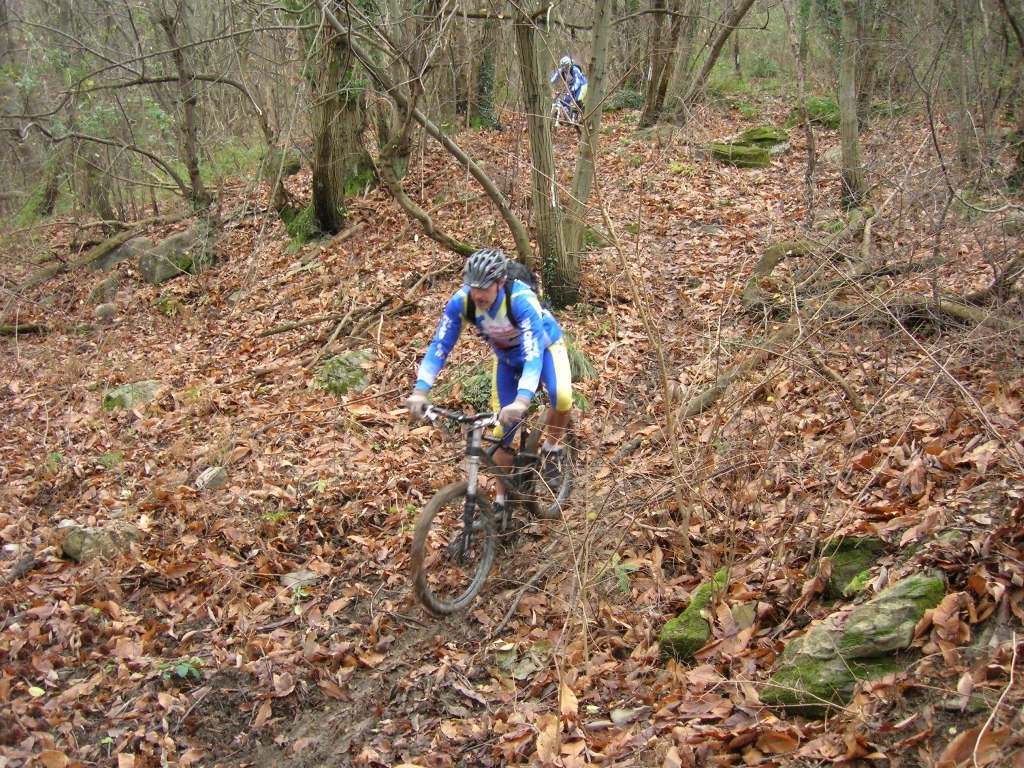 dscn8939.jpg