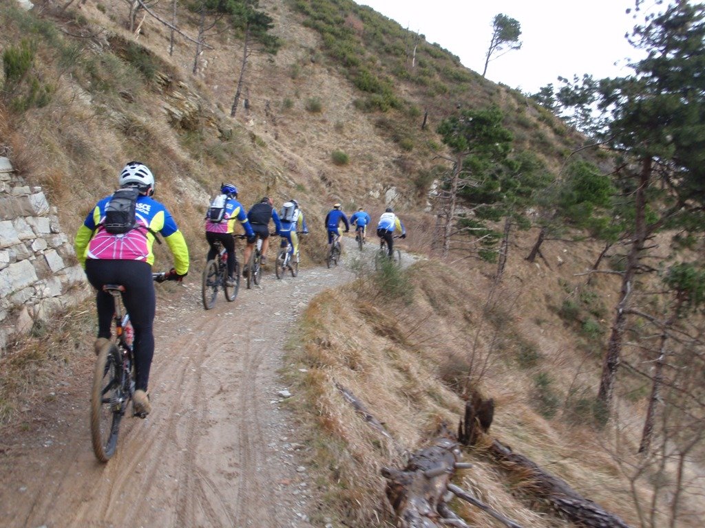 p1250090.jpg