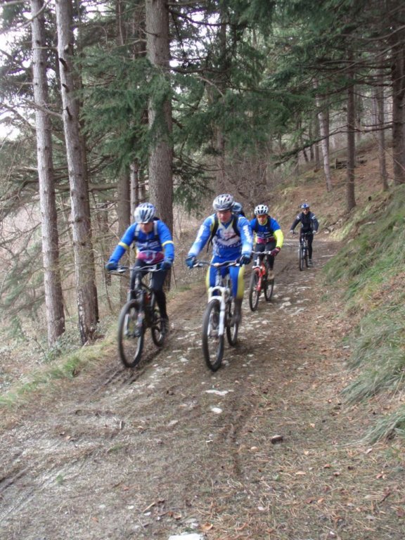 p1250099.jpg