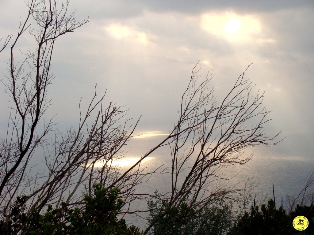 dsc02239.jpg