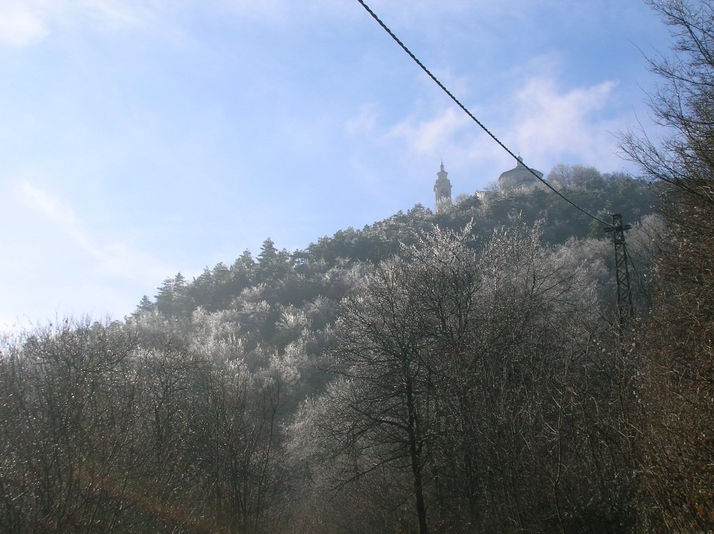 photo4.jpg