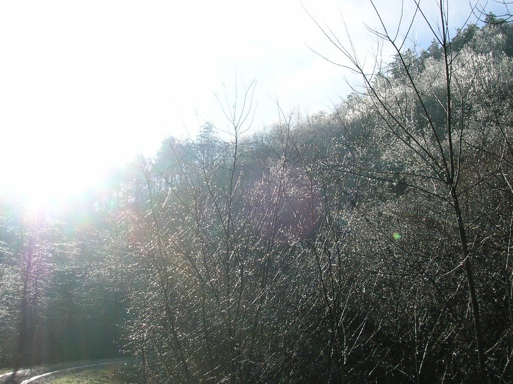 photo6.jpg