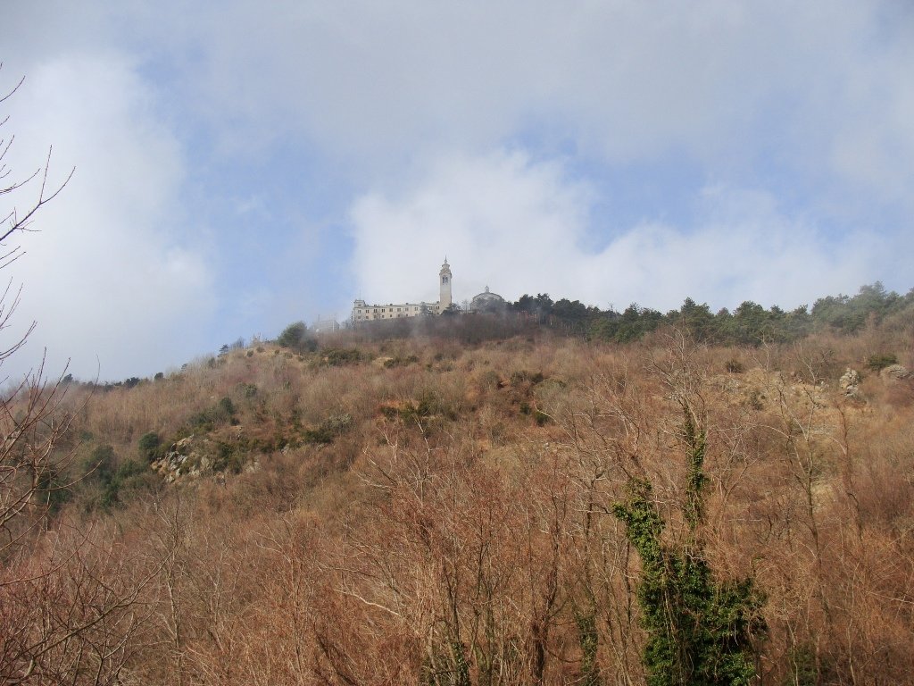 dsc00699.jpg