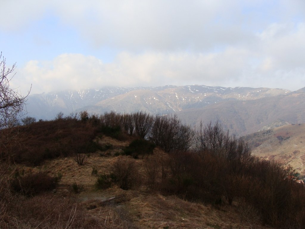 dsc00708.jpg