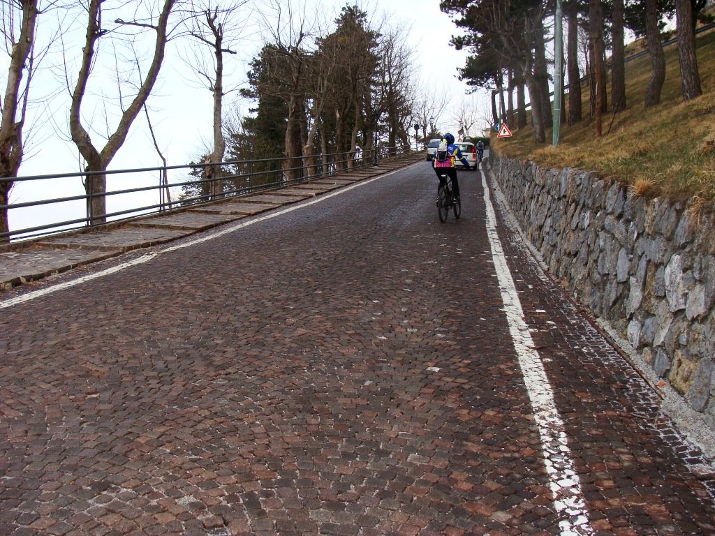 dsc00713.jpg