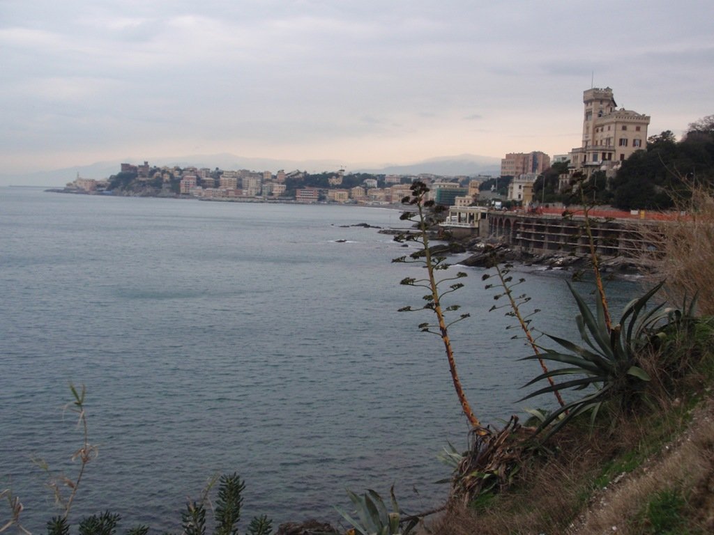photo.jpg