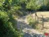 dsc01750_small.jpg