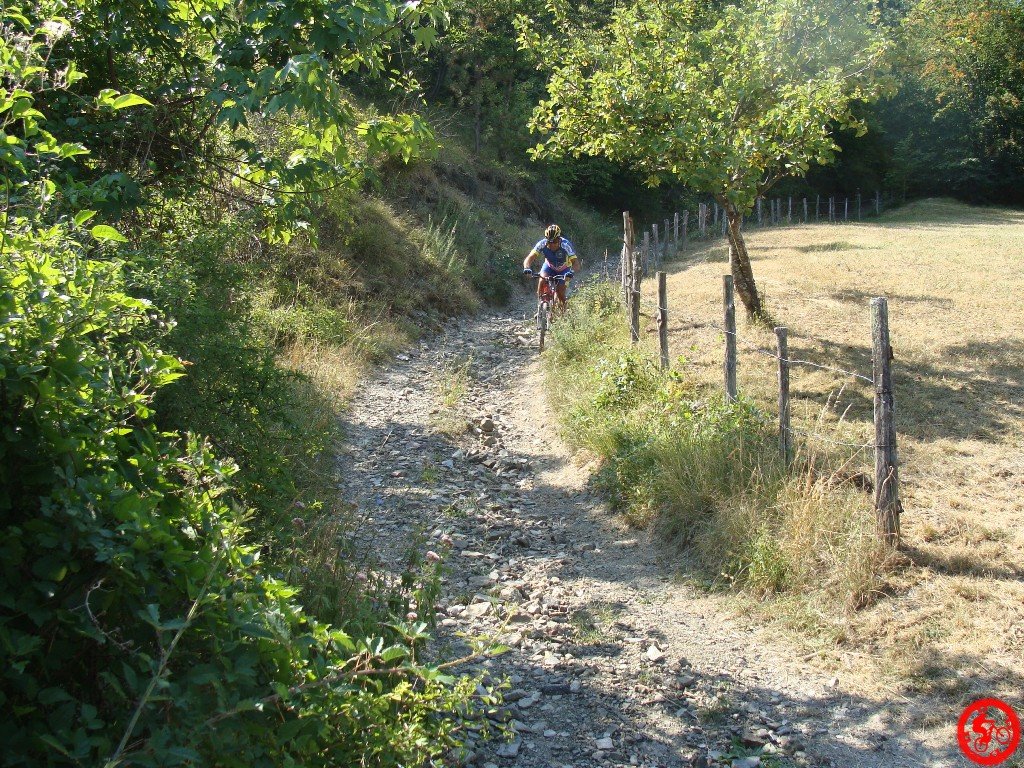dsc01751.jpg