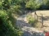 dsc01751_small.jpg