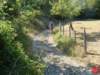 dsc01752_small.jpg