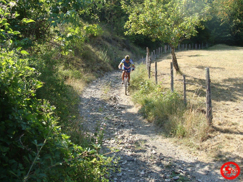 dsc01753.jpg