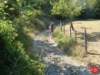 dsc01753_small.jpg
