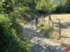 dsc01754_small.jpg