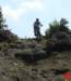 dsc01799_small.jpg